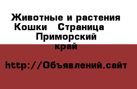 Животные и растения Кошки - Страница 2 . Приморский край